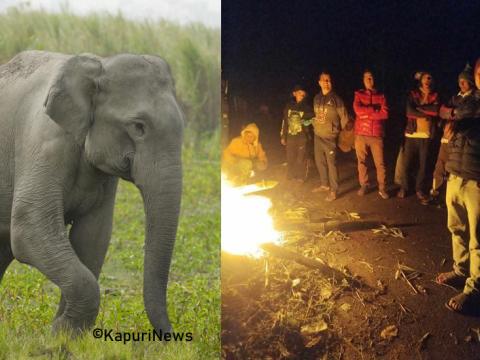 मानव–हात्ती द्वन्द्वको शृङ्खला रोकिएन, स्थानीय रातभर जाग्राम बस्न बाध्य